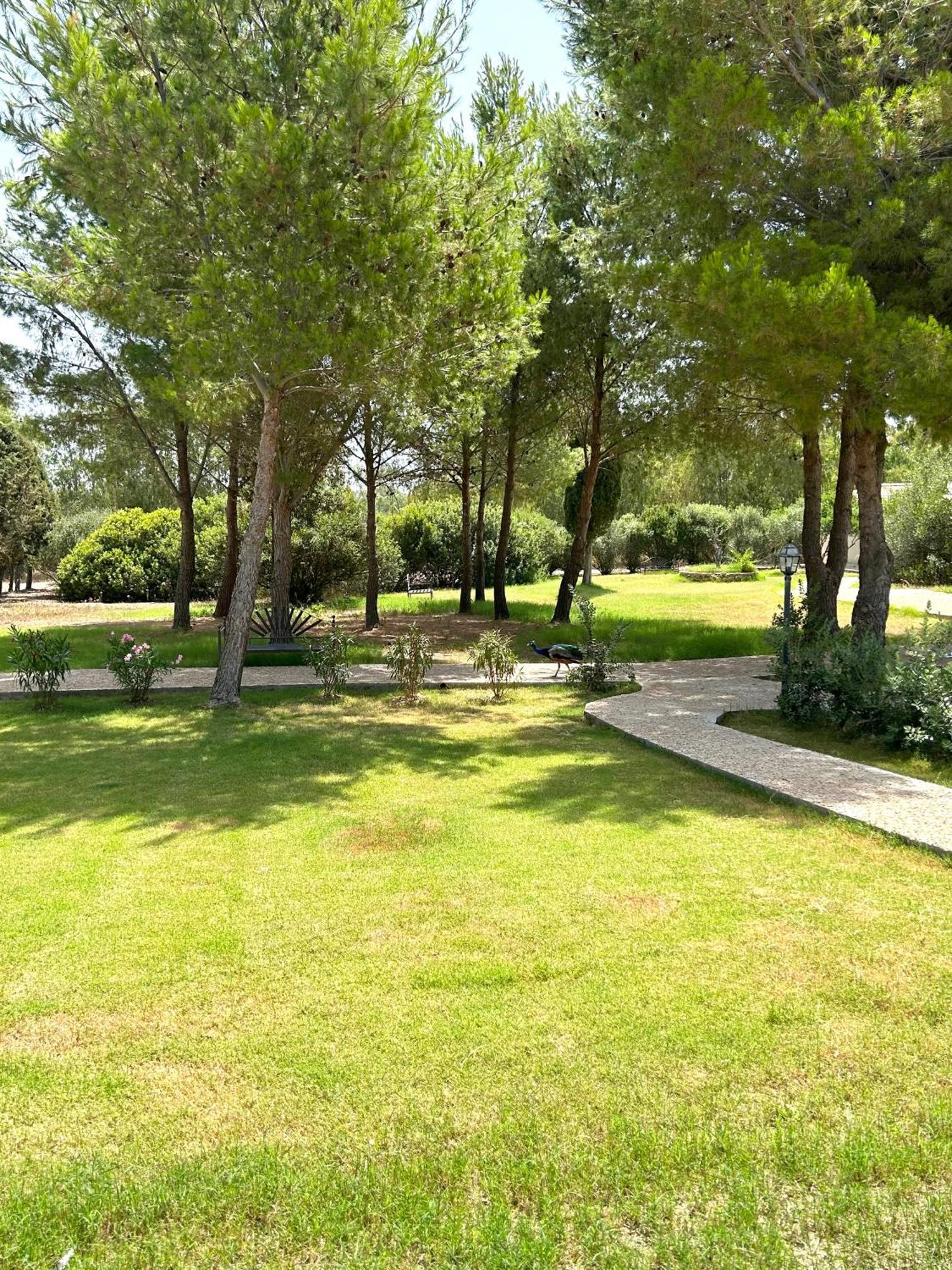 Villa Cavalieri Country Hotel Pula Ngoại thất bức ảnh